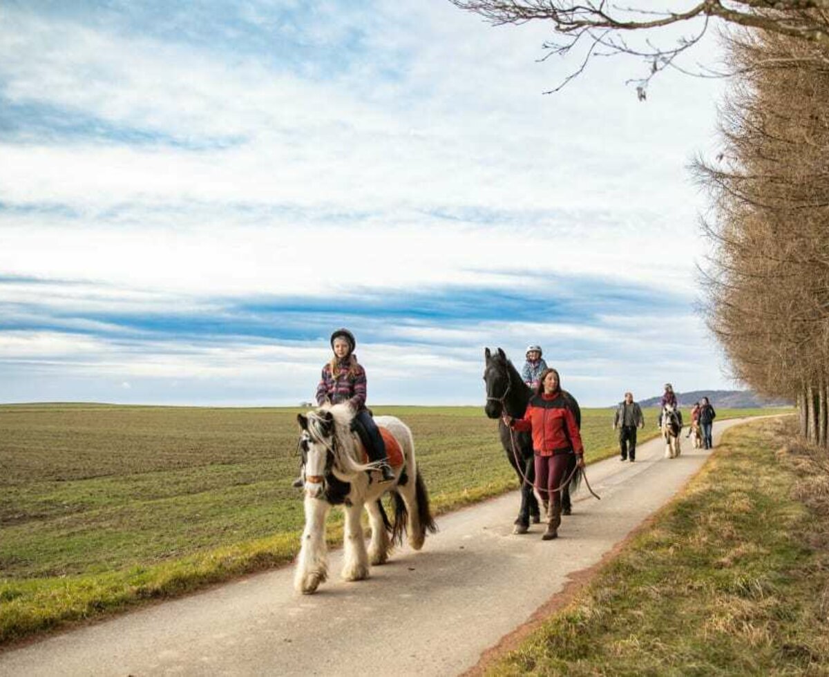 Urlaub am Erlebnishof Strasser - Pferdewanderung