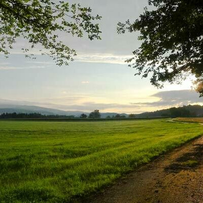 Landschaft