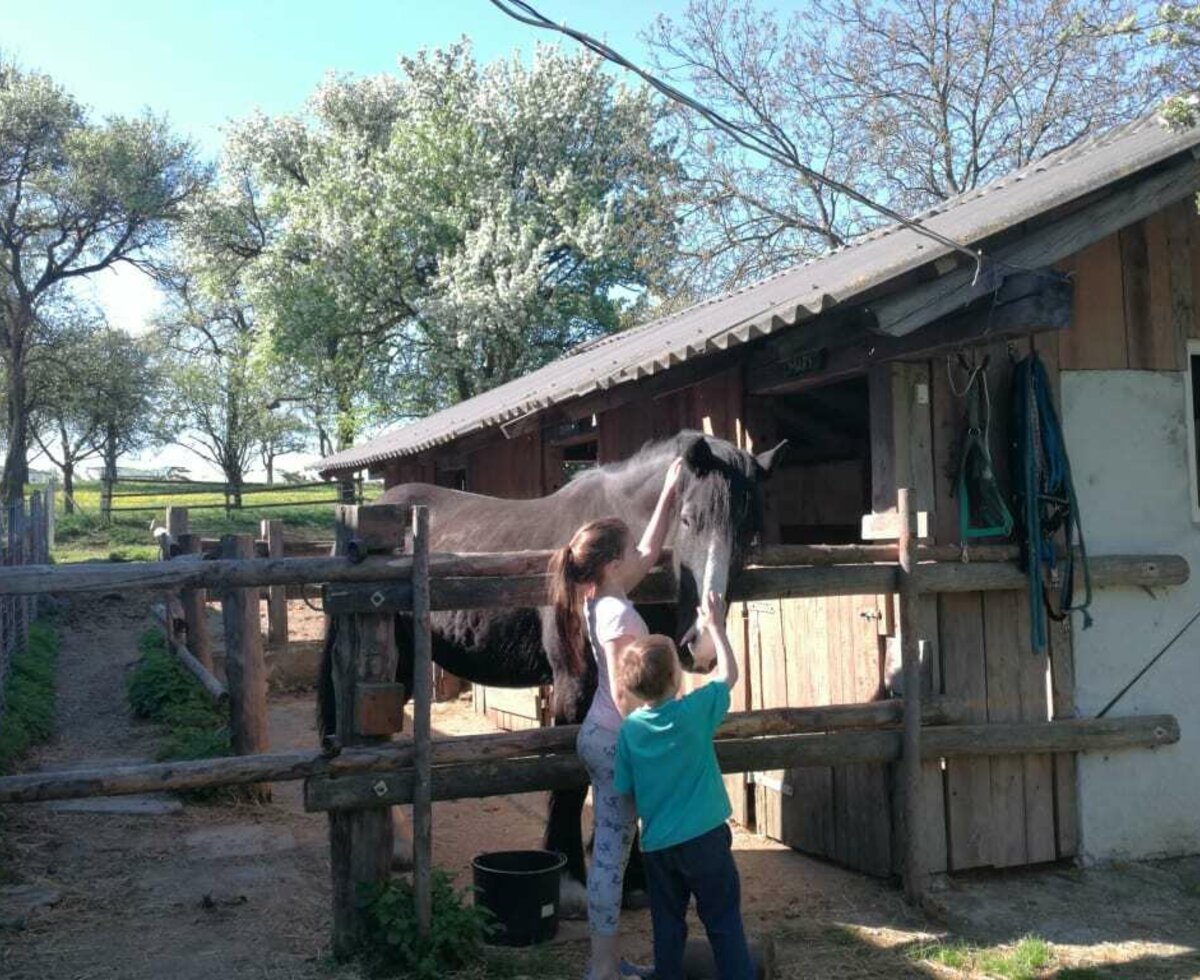 Mayerhof - Mary, unser Pferd