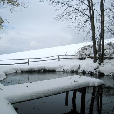 Fischteich im Winter