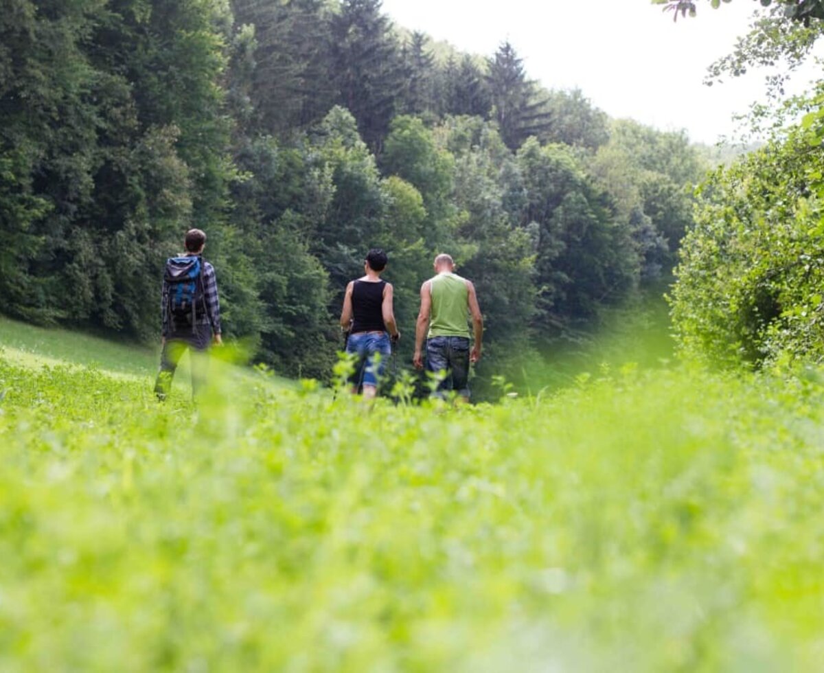 Waldhof Grasel - Wandern