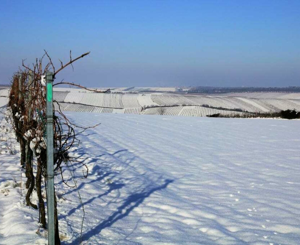 Weingarten Winter