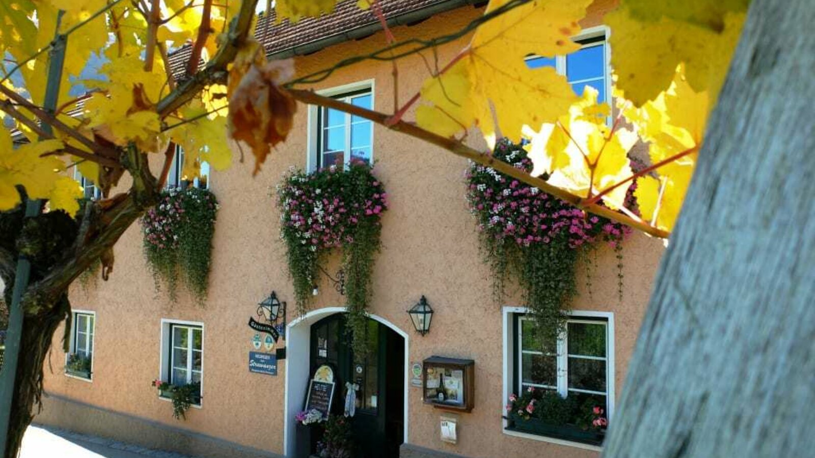 Weingut Donabaum - Stammhaus