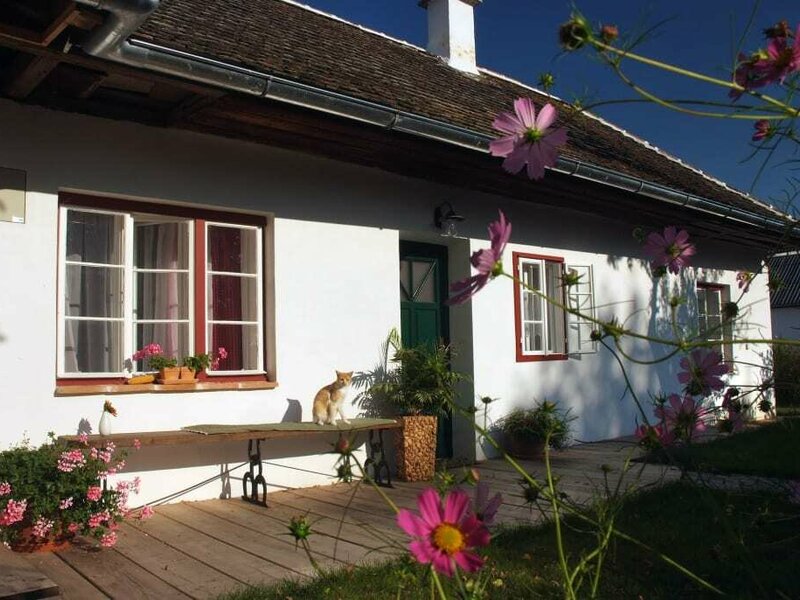 Ferienhaus mit Katze