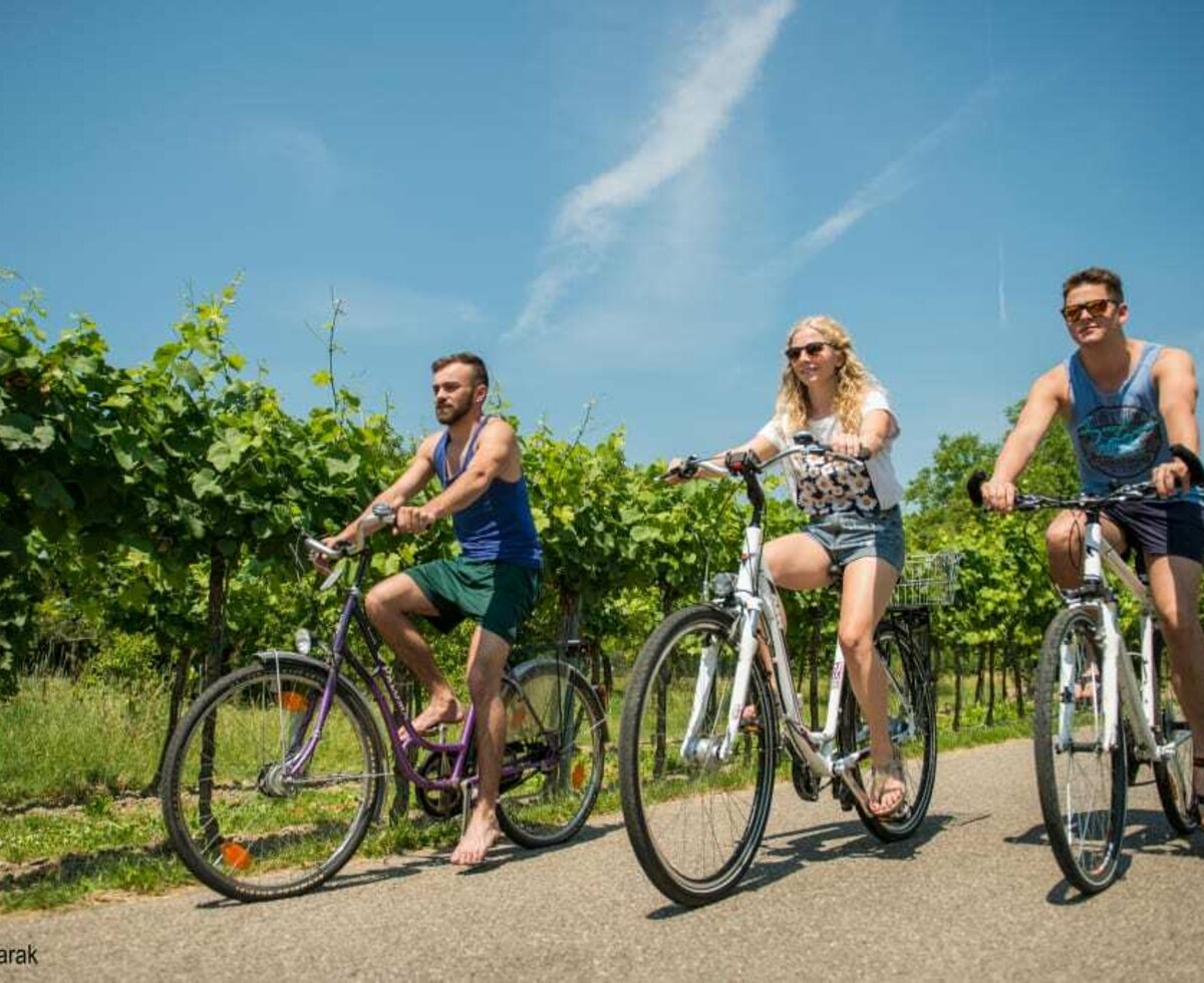 Winzerhof Bogner - Radfahren (©Michael Parak)