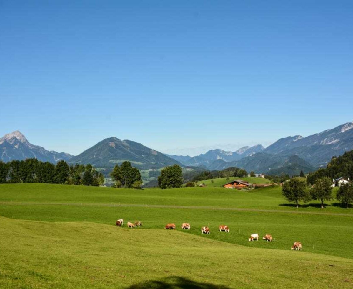 Der Ausblick auf unsere Berge