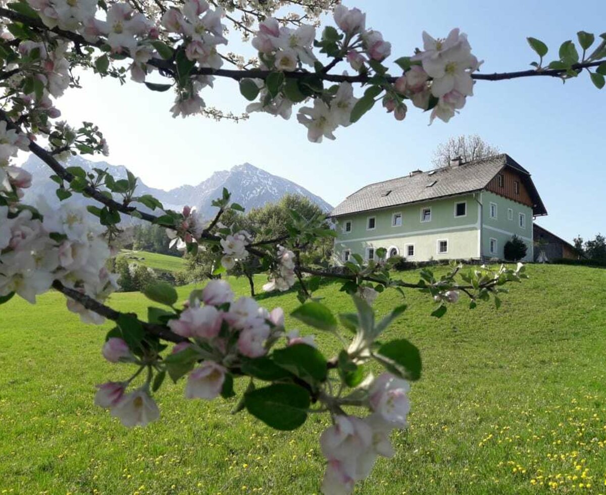 Unser Hof im Frühling