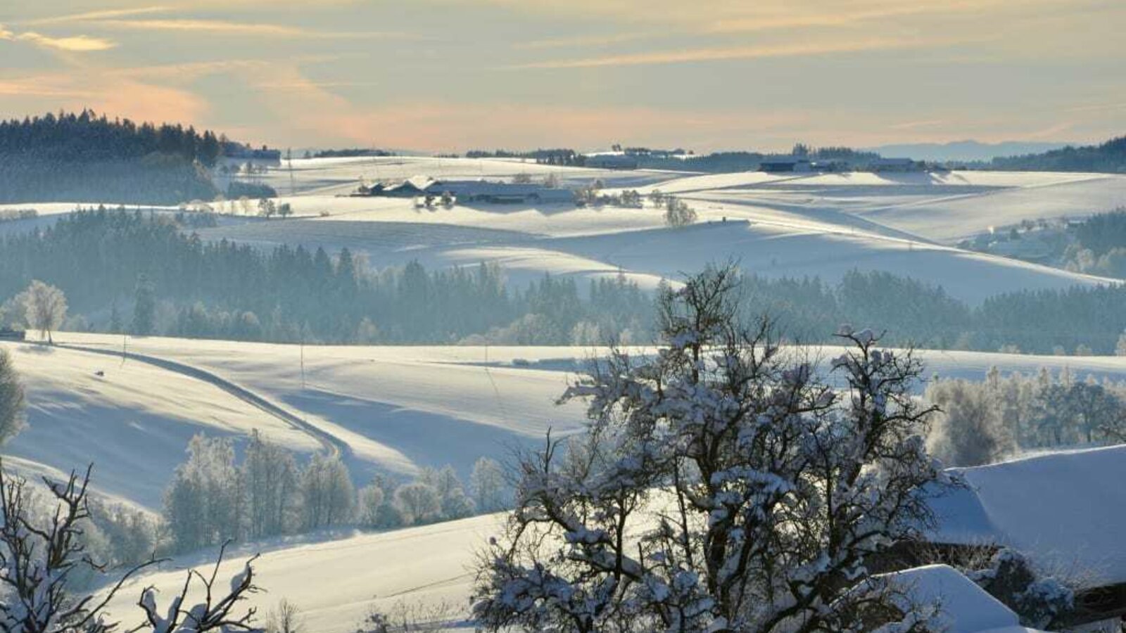 Mühlviertler Winterlandschaft