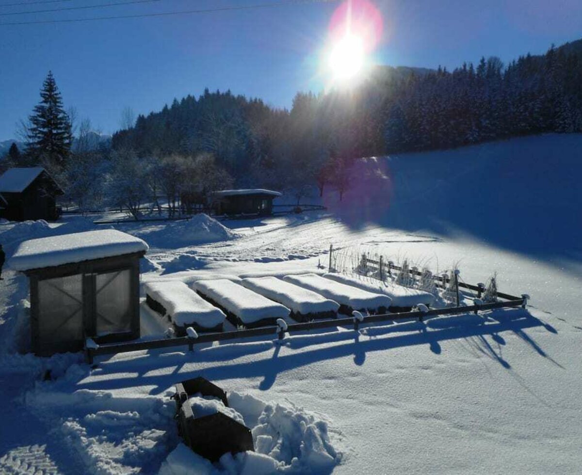 Hausgarten im Winter