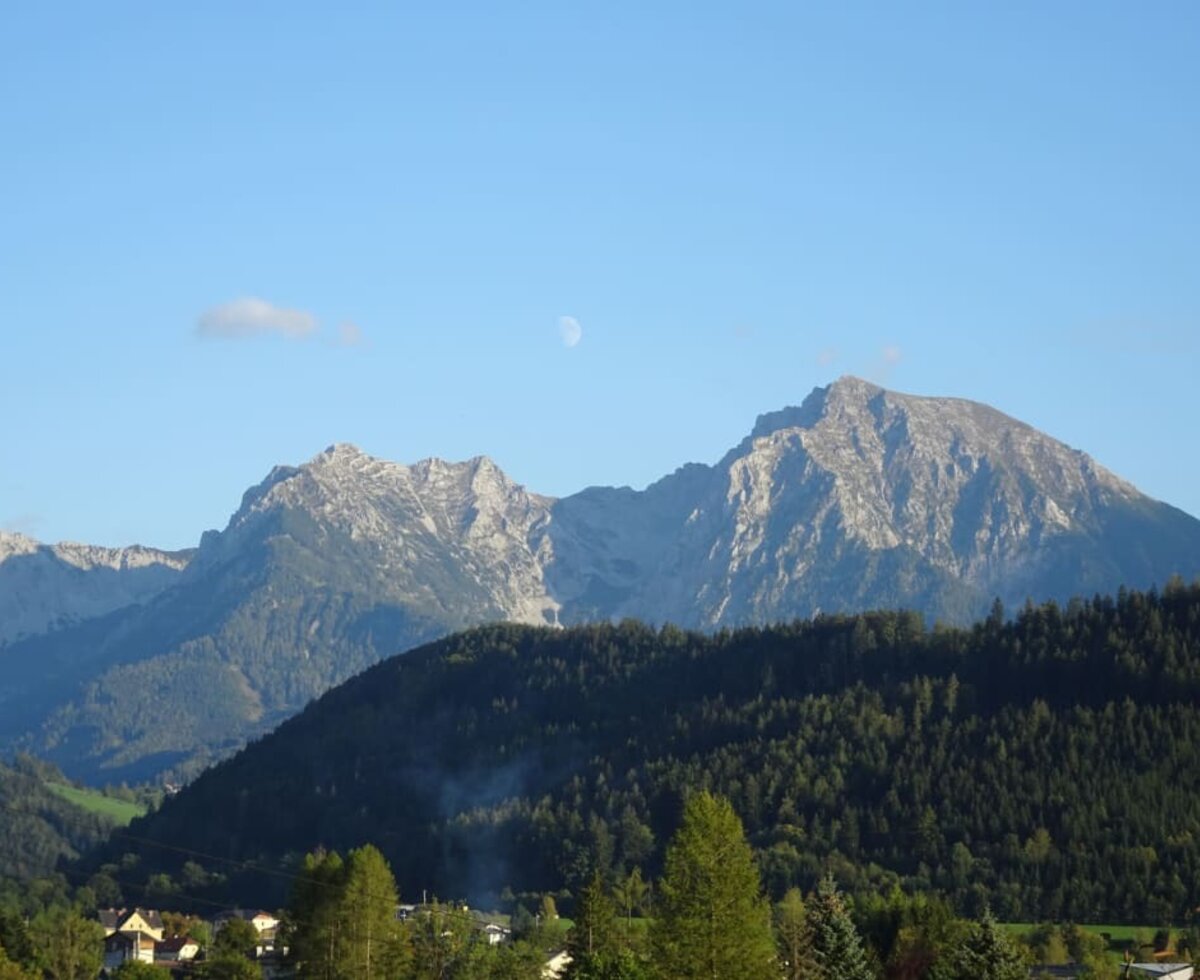 Blick auf die Hallermauern