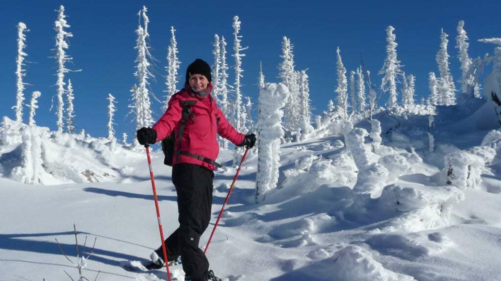 Schneeschuhwanderung zum Plöckenstein