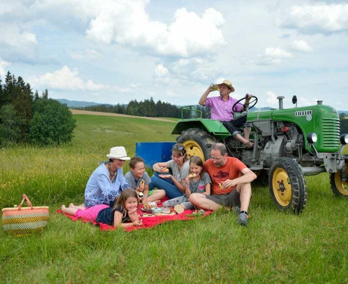 Picknick im Grünen