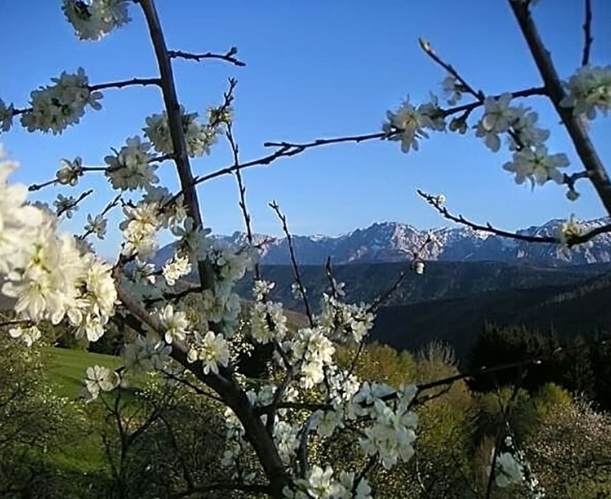 Aussicht vom Südbalkon