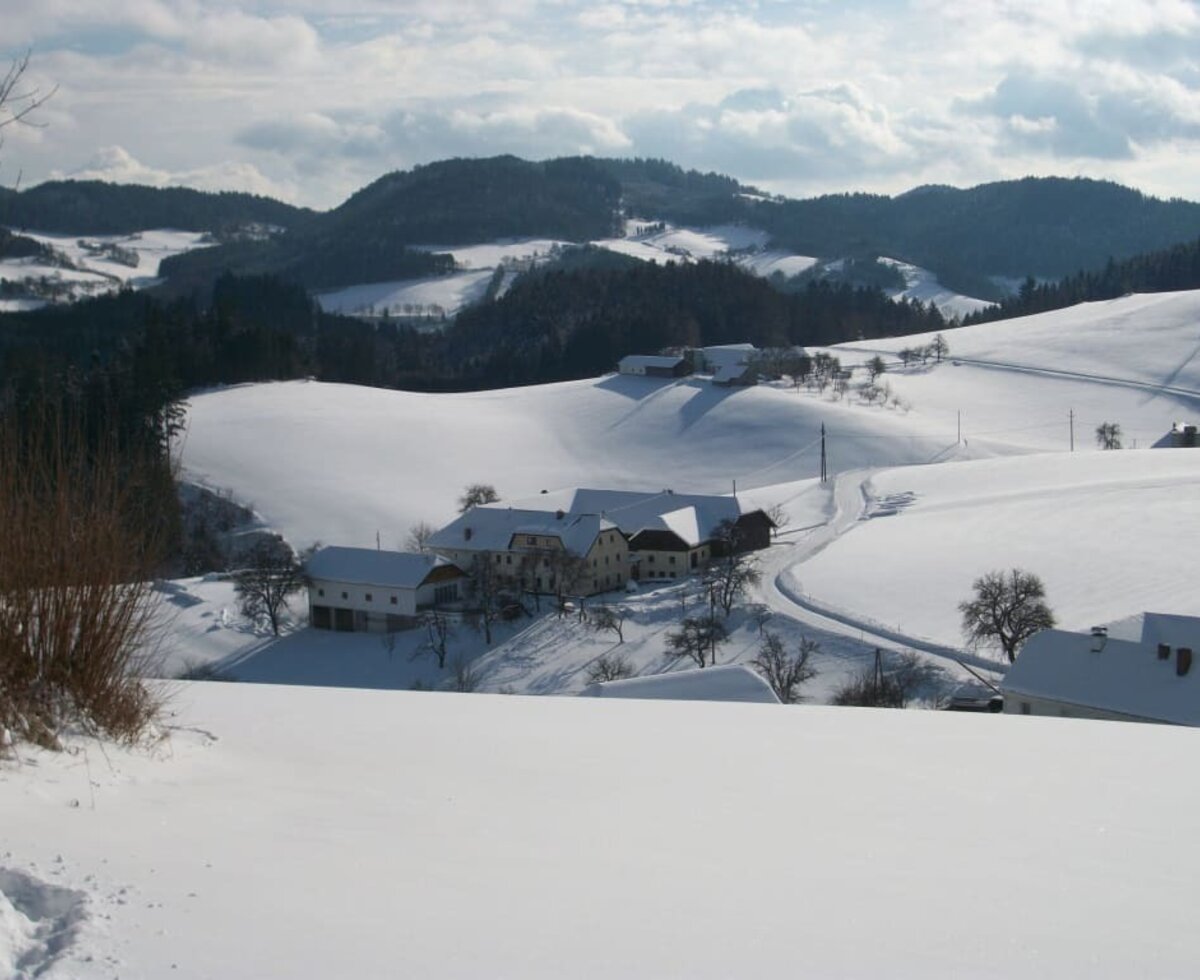 Der Hof im Winter