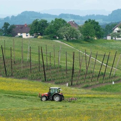 Gras wenden zum Silieren