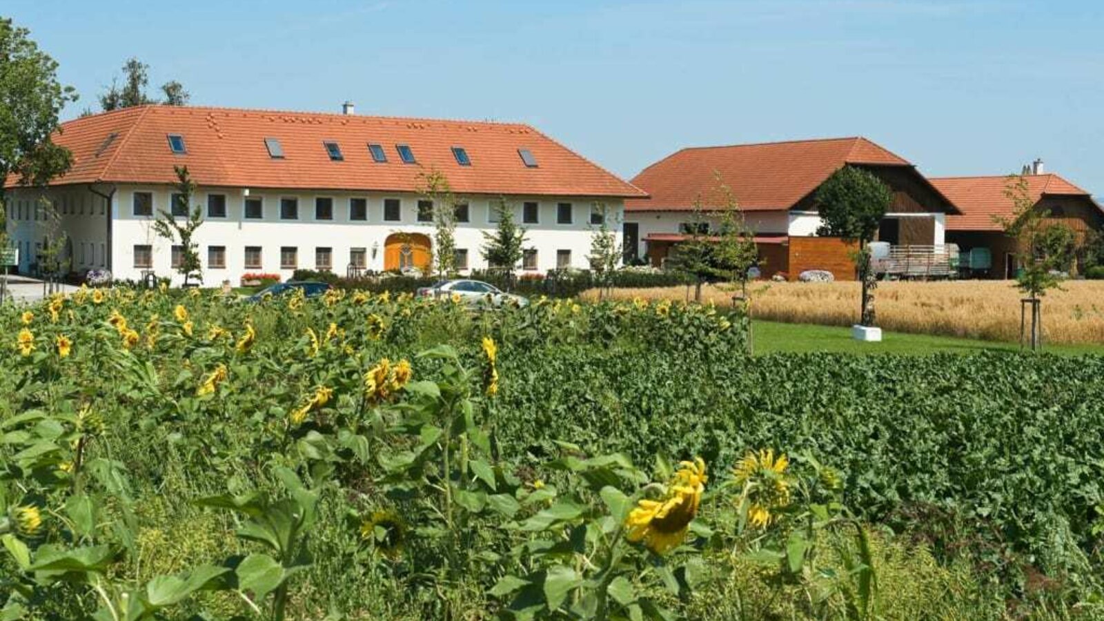 Bauernhofpension Herzog zu Laah