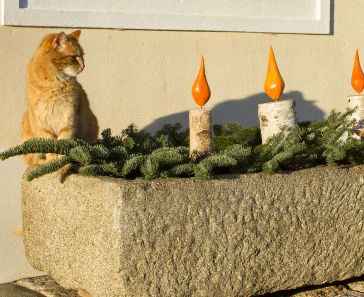 Advent Advent