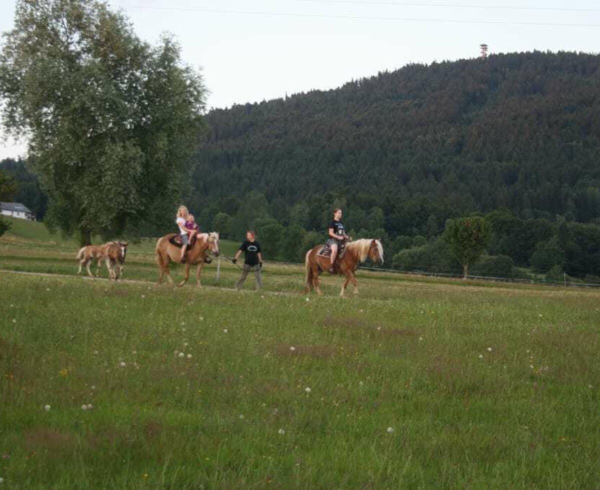 herrliches Wanderreiten