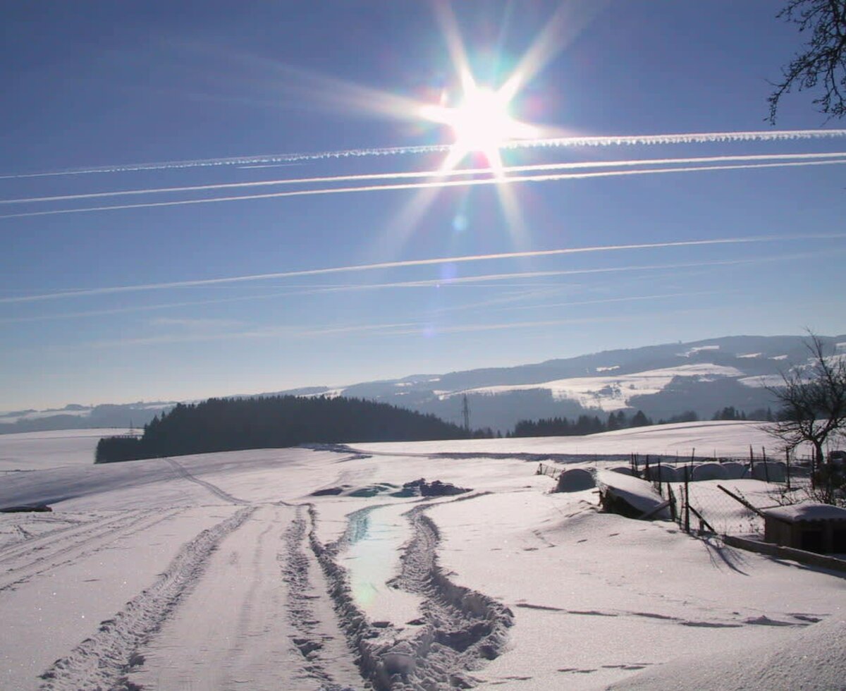 Spuren im Schnee