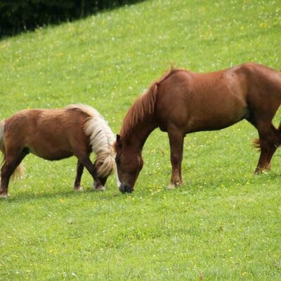 Syrano und Julie