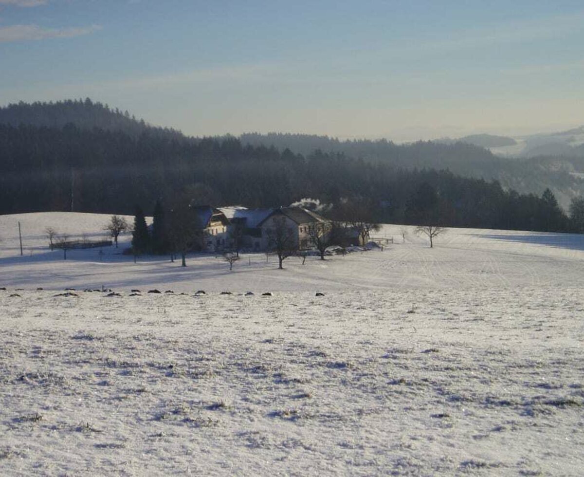 Winterlandschaft