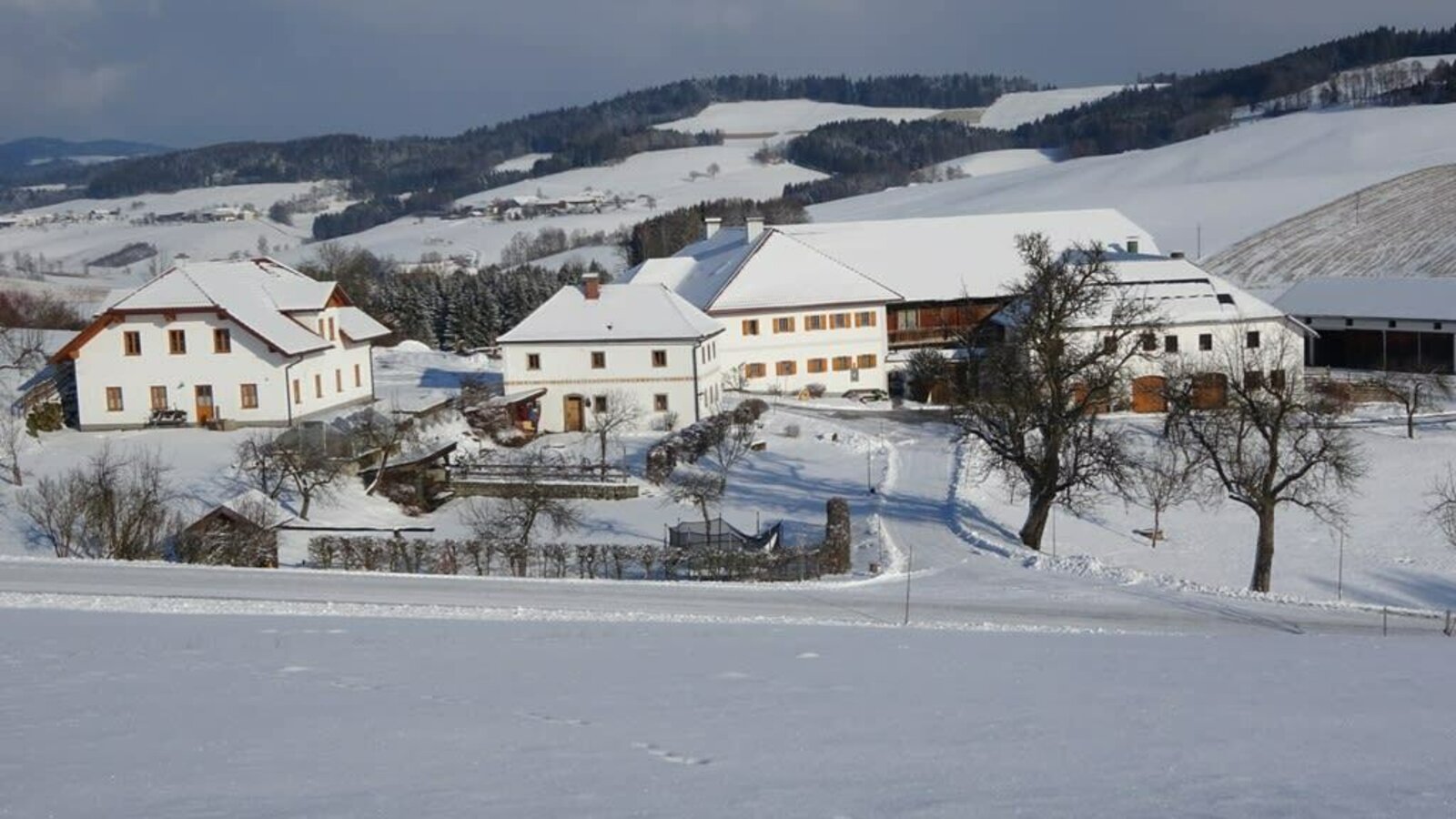 Der Schafflhof vom Schnee eingedeckt