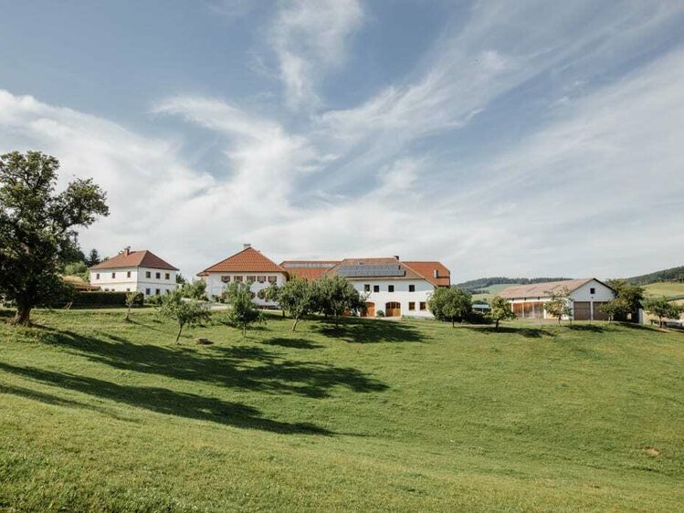 Biohof Schafflhof in Sarleinsbach im Mühlviertel | © Urlaub am Bauernhof Oberösterreich / Biohof Schafflhof