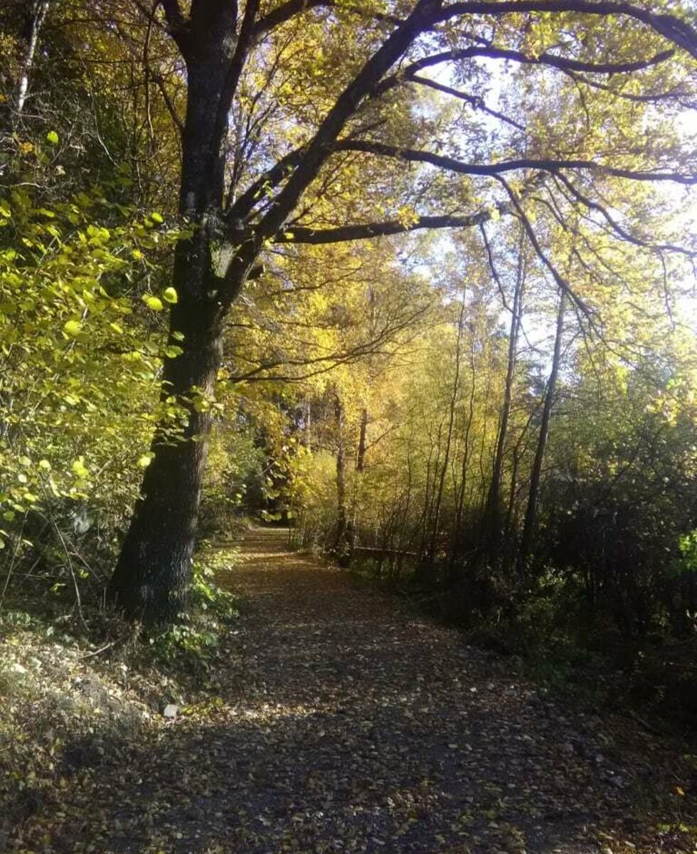 Rund um unser Dorf gibt es viele Wanderwege