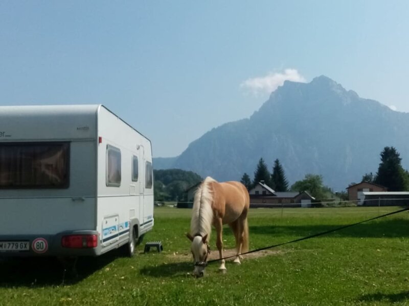 Camping am Pferdehof