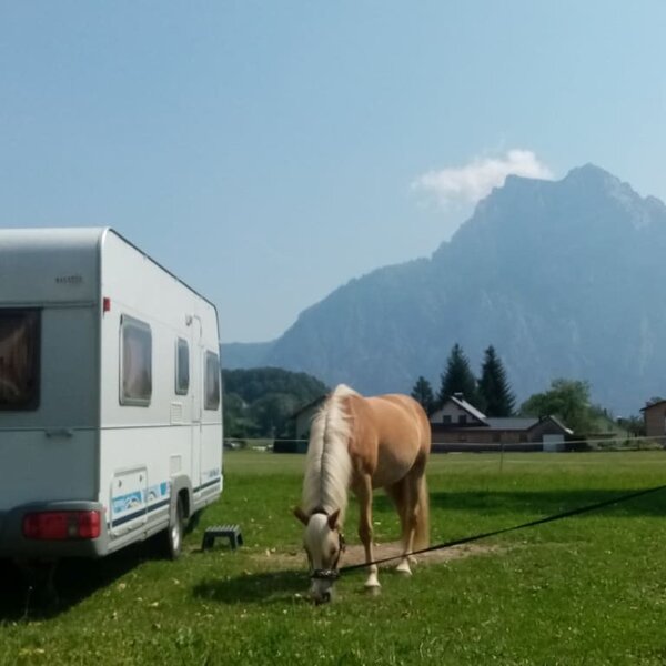 Camping am Pferdehof