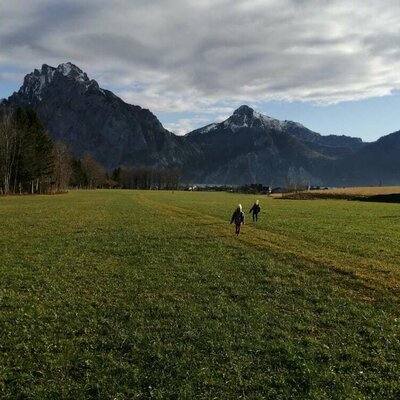 Berge und Wiesen