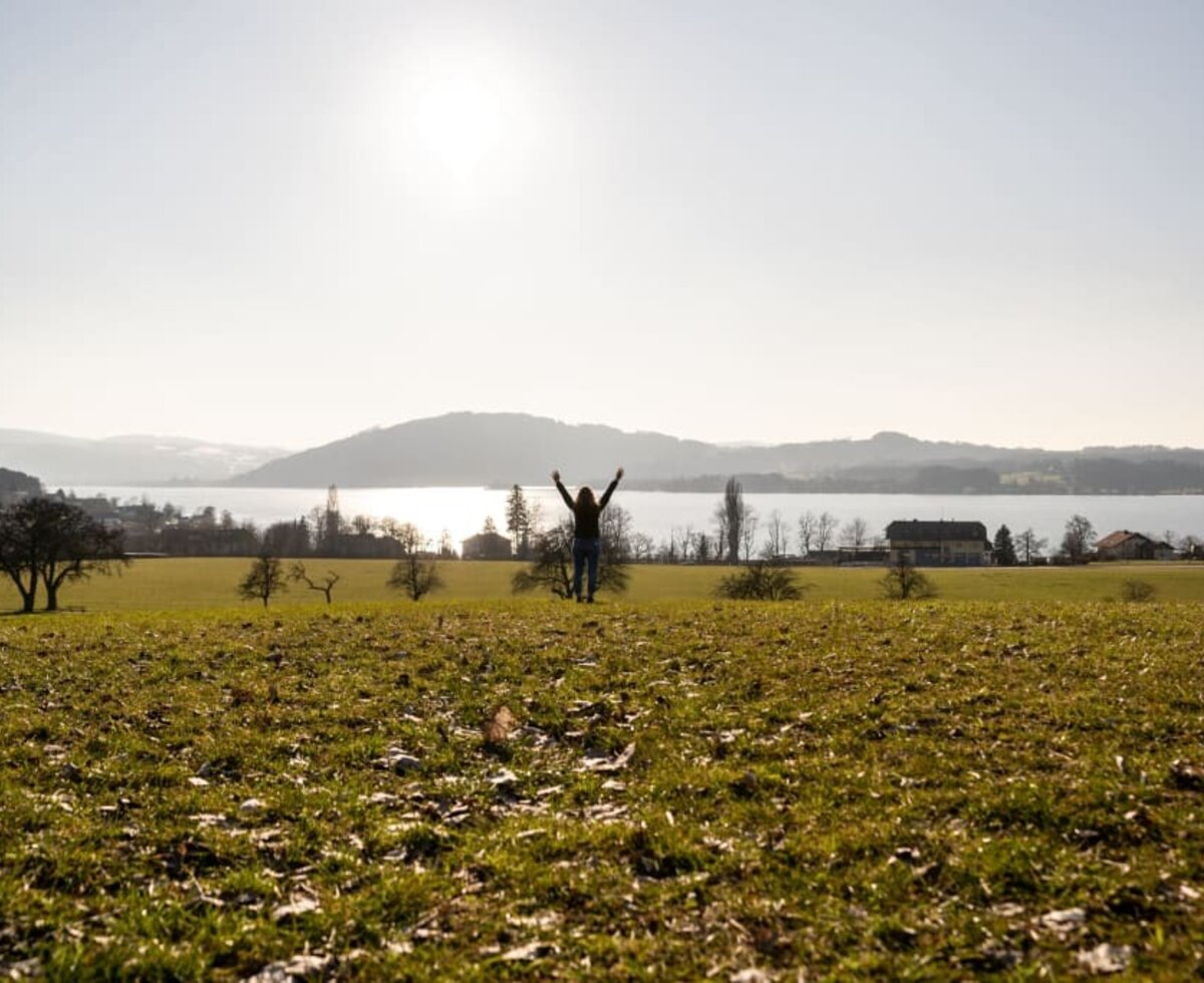 Aussicht auf den Attersee