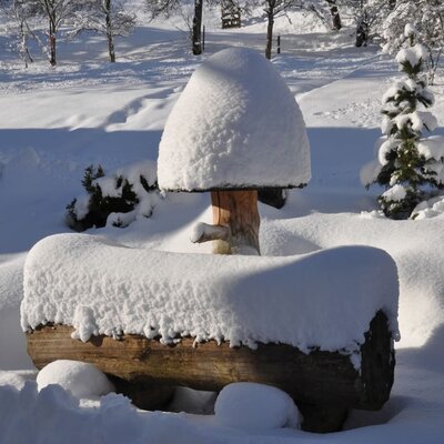 Brunnen mit Schneehaube