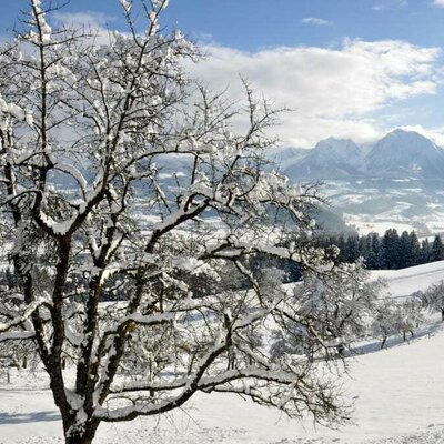 Winterlandschaft