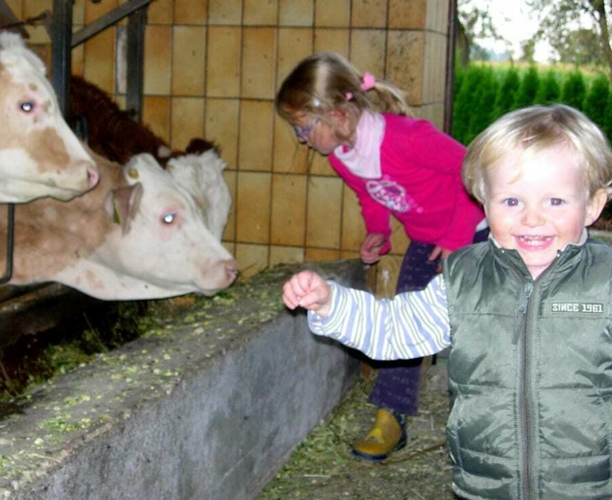 Bei der Fütterung im Stall