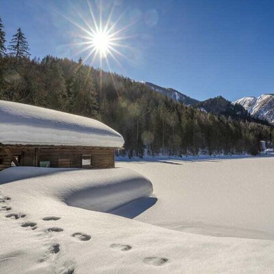 Winteranblick Schafferteich