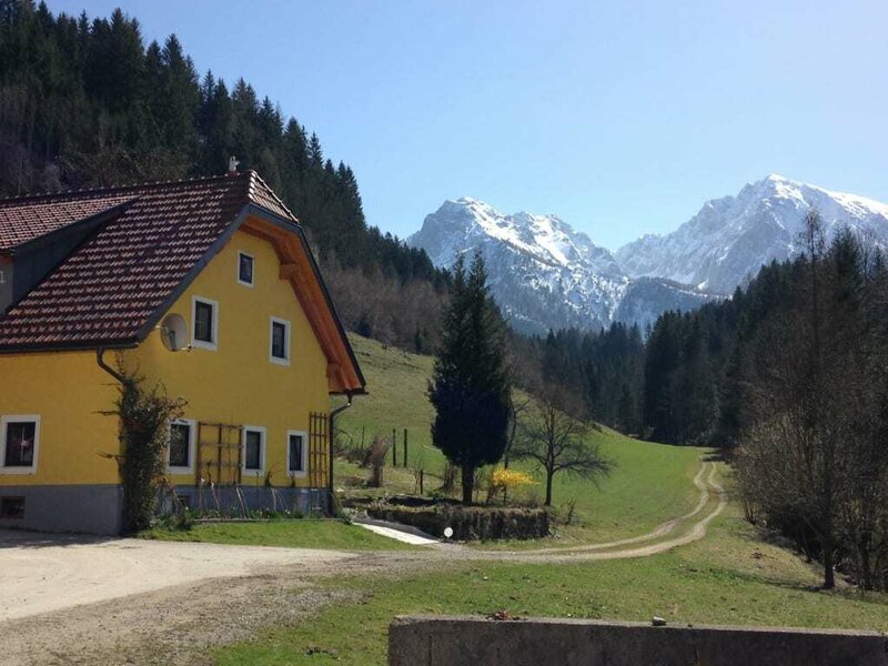 Frühling beim Hintergrabenbauer