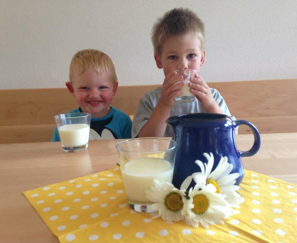 Frische Kuhmilch schmeckt