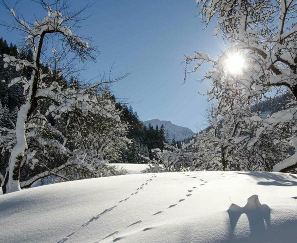 beeindruckende Winterlandschaft