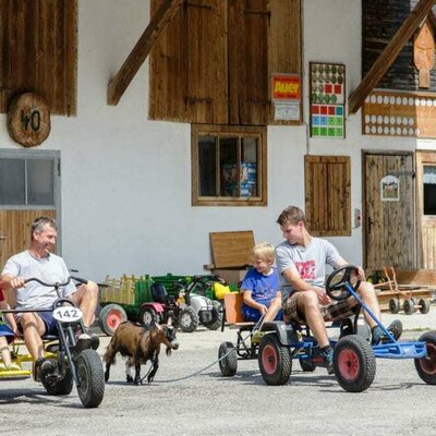 Go-Kart-Rennen mit Ziege Jenny