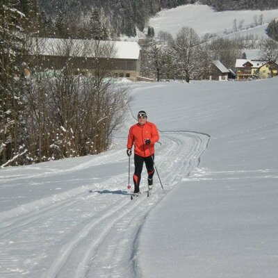 Direkt an unserem Ferienhof führt die Loipe der Langlaufarena Waldhütte vorbei