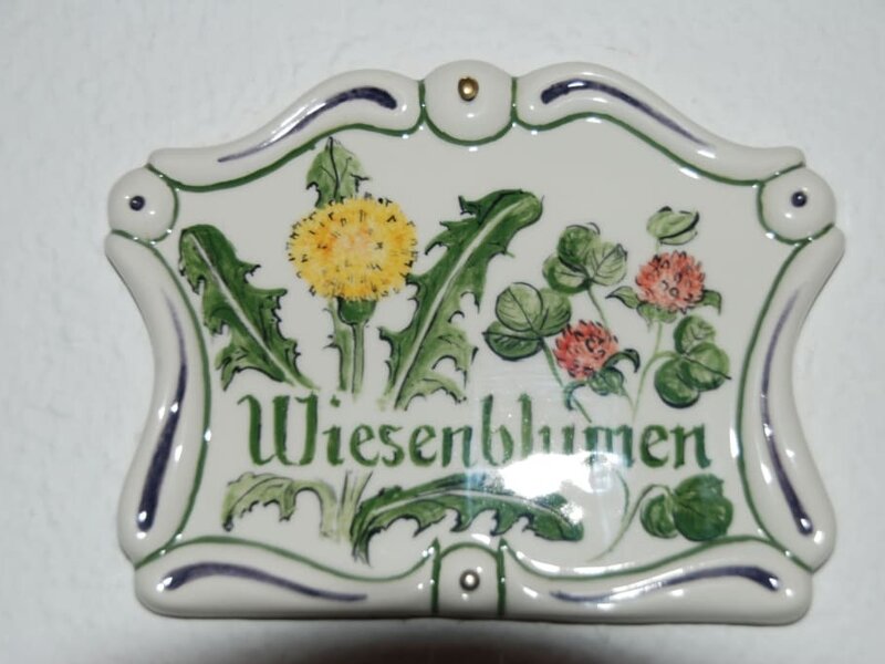 Wiesenblumen