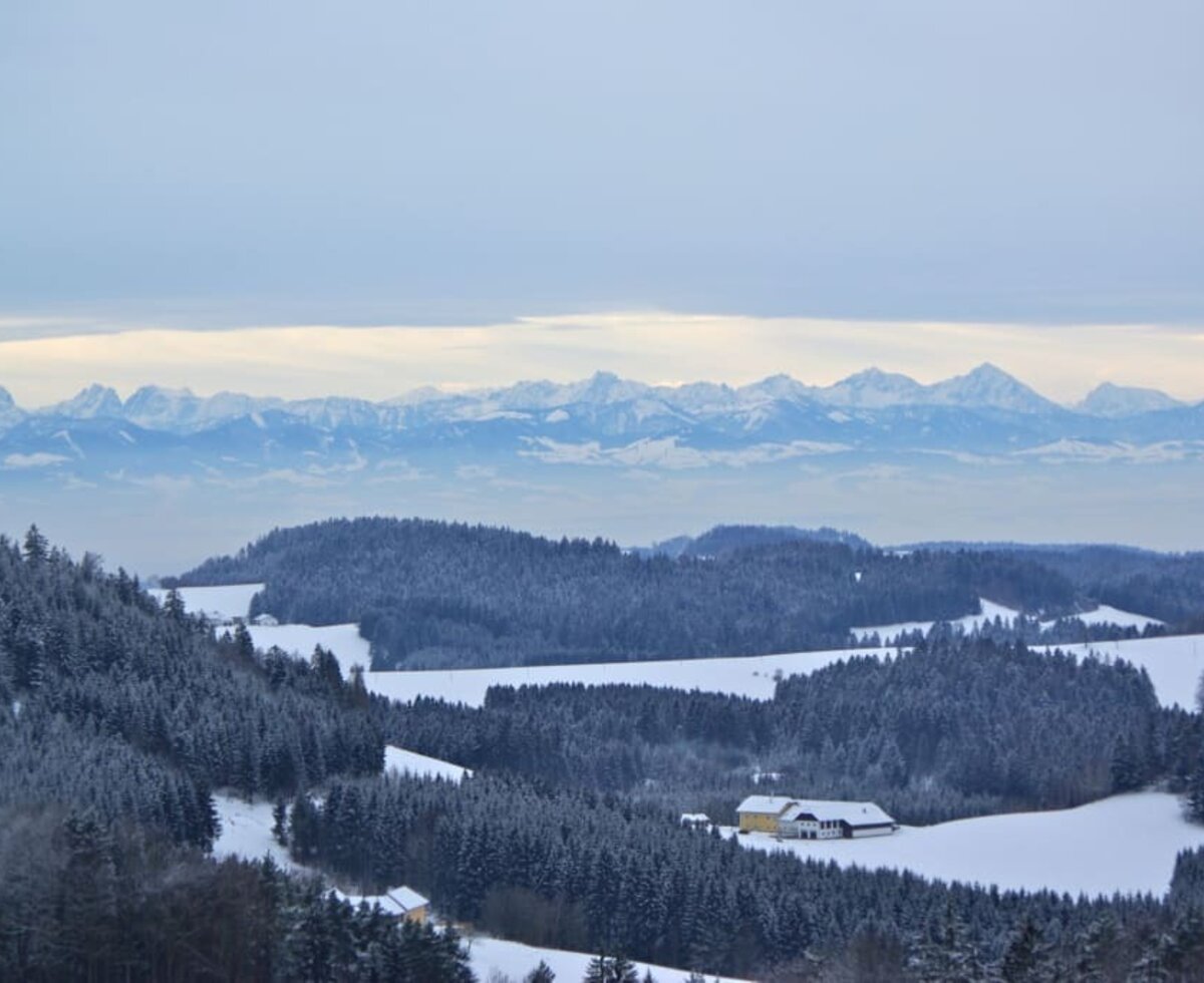 Alpenblick