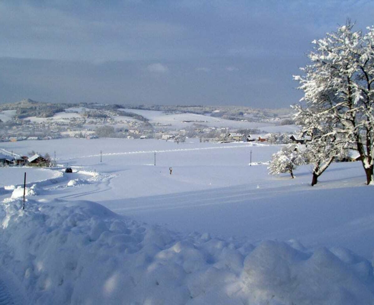 winterliche Landschaft