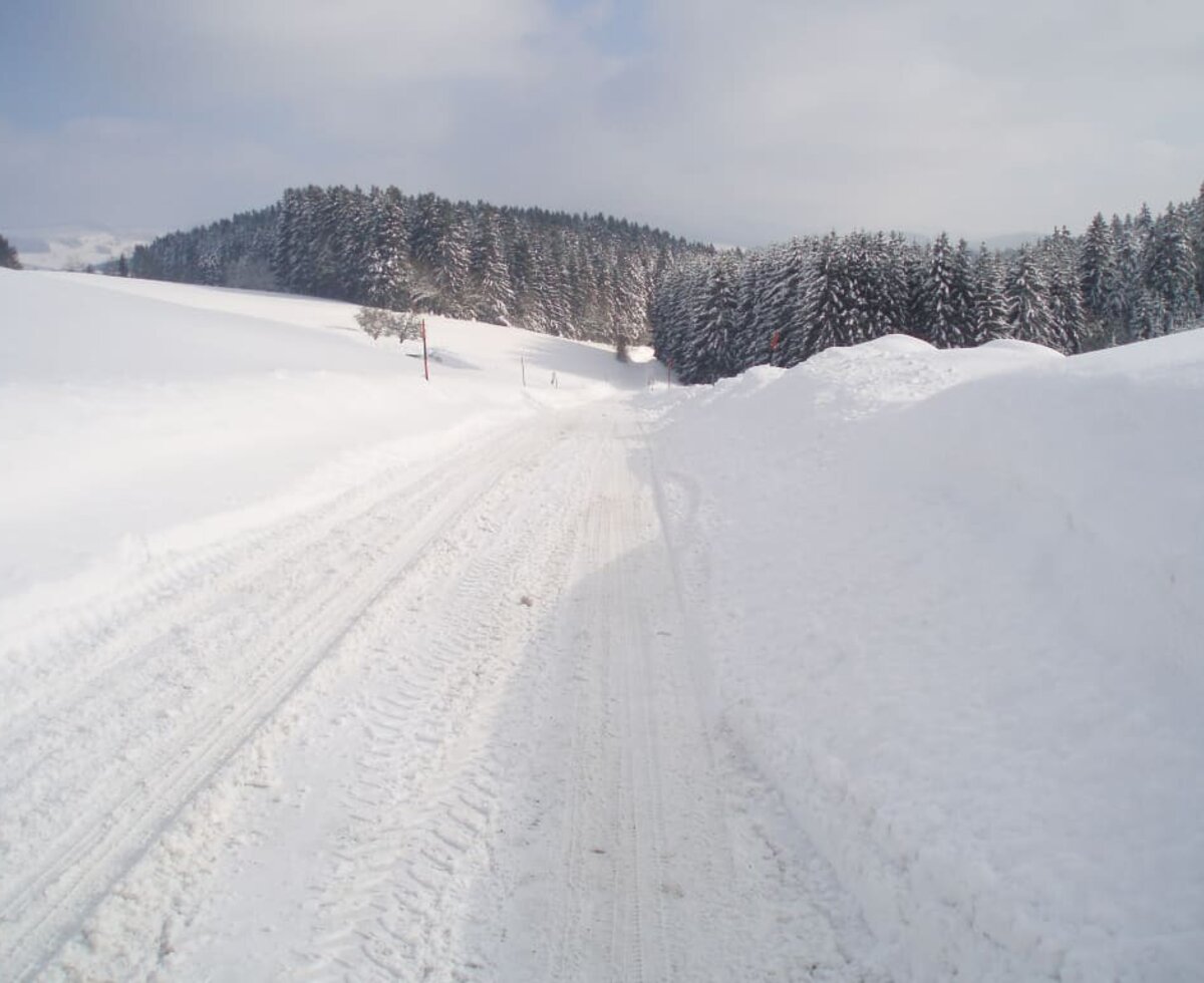 Ankunft im Winter