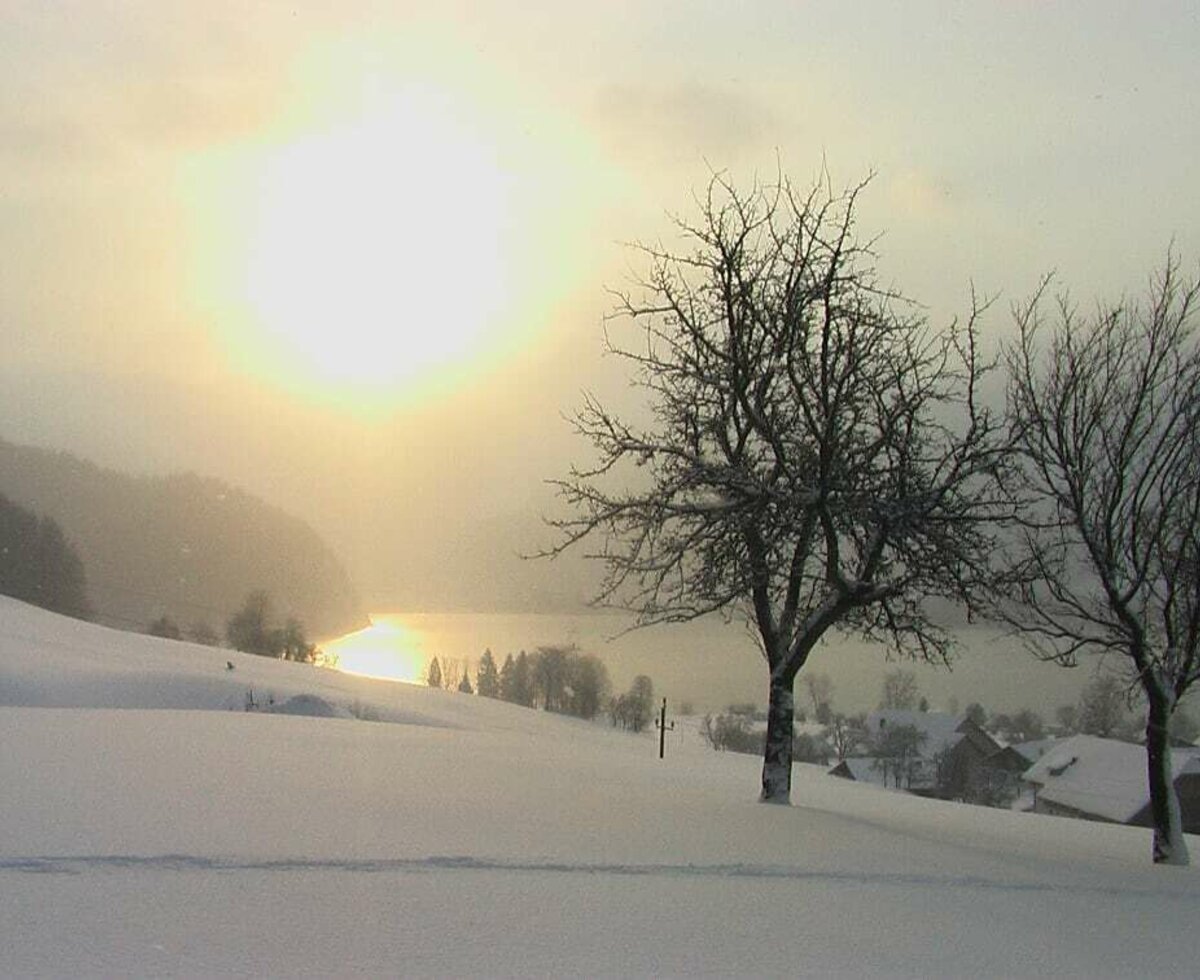 Winterlandschaft