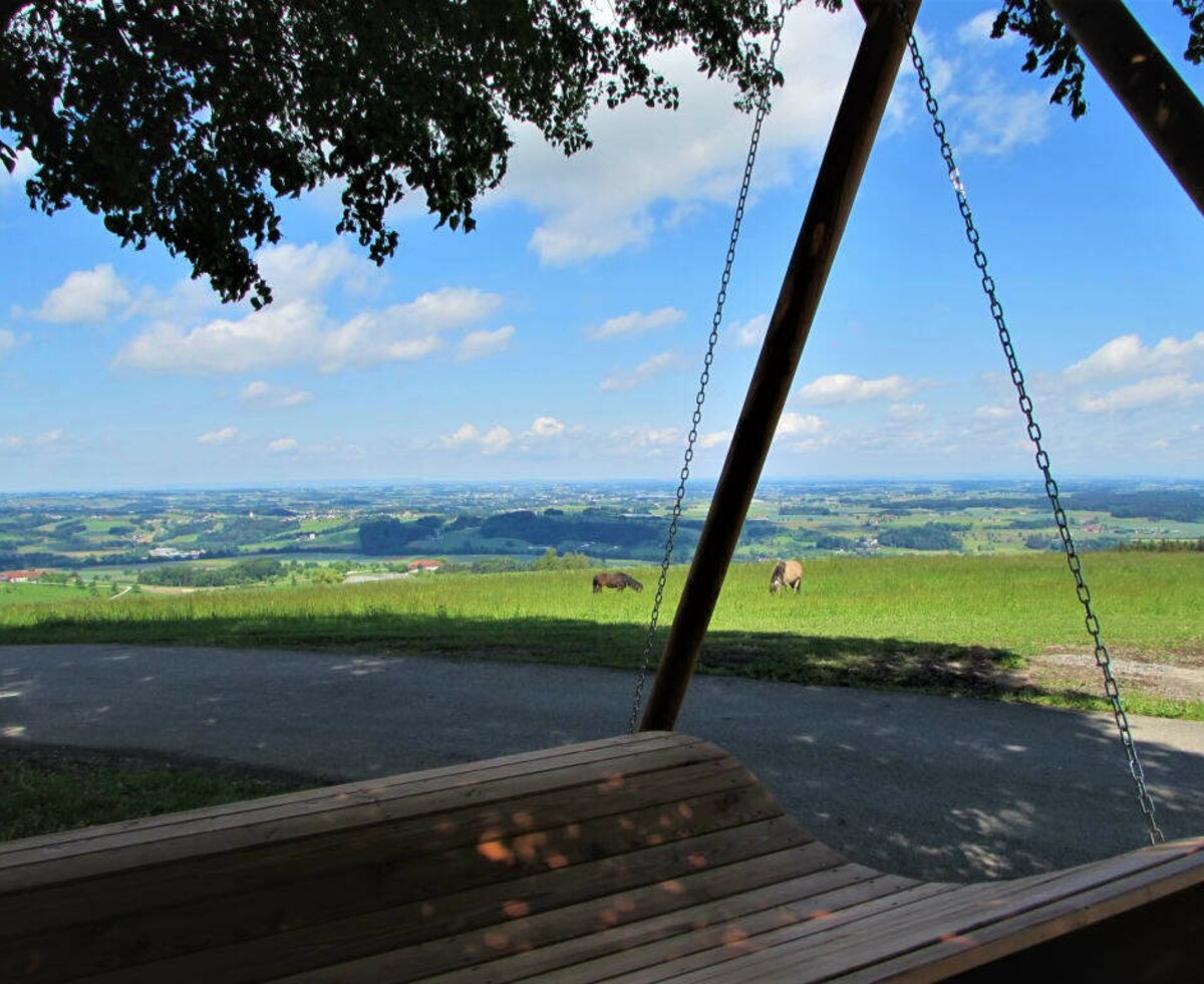 unter der alten Linde eine Auszeit genießen