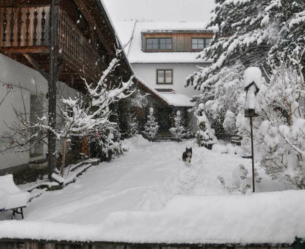 Urlaub Bio Bauernhof  Hof zu Steinern Reiten