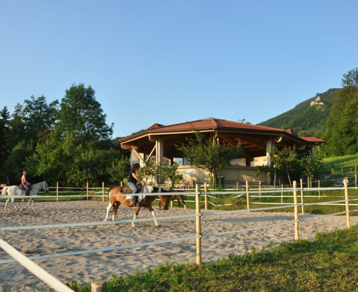 Urlaub bio Pferde Reiten