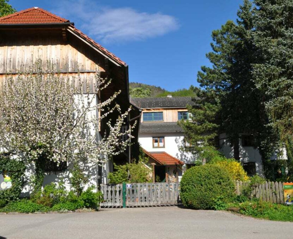 Urlaub Bio Bauernhof  Hof zu Steinern Reiten